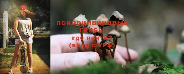 МДМА Белокуриха