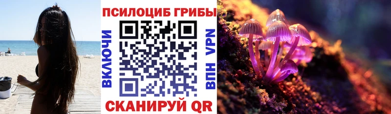 Псилоцибиновые грибы Magic Shrooms Полесск