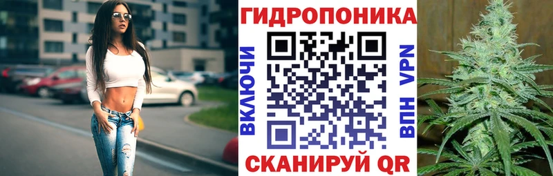 продажа наркотиков  Полесск  Шишки марихуана конопля 